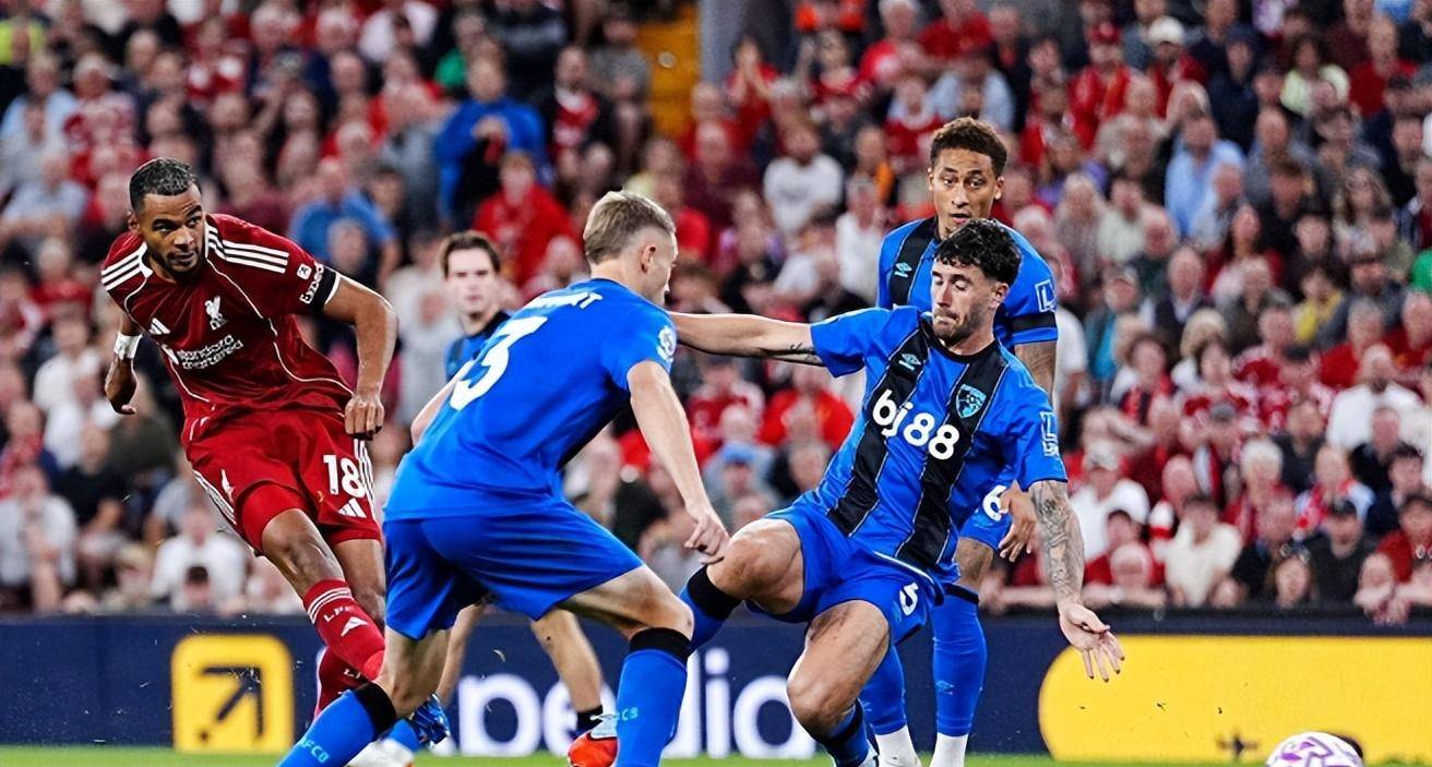 给球队帮了, 很坚韧 给球队帮了, 很坚韧